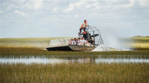 Consider Stopping At This Popular Spot For A Look At Florida's Wildlife