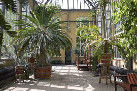 Amsterdam botanical garden editorial photography. Image of greenhouse ...