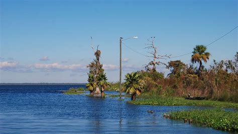 Lake Jesup Conservation Area – Florida Hikes