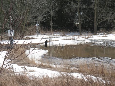 Hydrological Processes | Hydrology Journal | Wiley Online Library