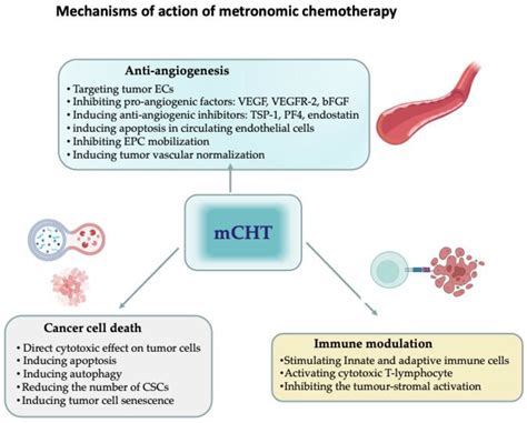 Jcm Free Full Text Metronomic Chemotherapy For Metastatic Breast