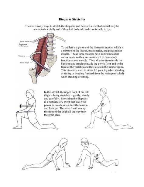 Iliopsoas Stretchespdf Docslib