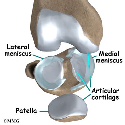 Meniscal Injuries EOrthopod