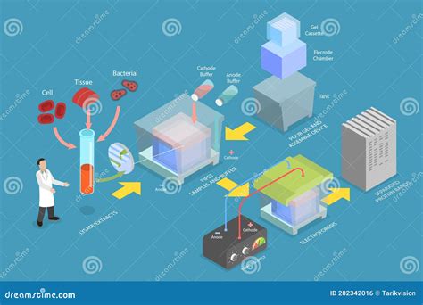 3d Ilustración Conceptual Vectorial Plana Isométrica De La Mancha