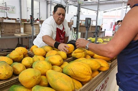 El Mercado del Agricultor de Arona abrirá sábados y domingos de 9 00 a