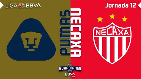 Resumen Y Goles Pumas Vs Necaxa Liga BBVA MX Guardianes 2020