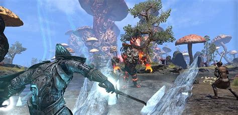 Warden Guide Skill Lines And Abilities The Elder Scrolls Online