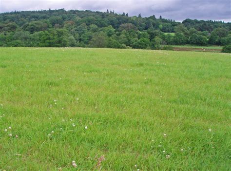 Meadow At The Balbridie Archaeological © C Michael Hogan Cc By Sa2