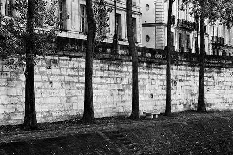 Trees Seine Paris France Photograph By Bruce Beck Pixels