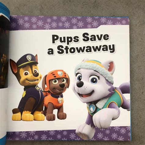 Paw Patrol Storybook Collection Hobbies Toys Books Magazines