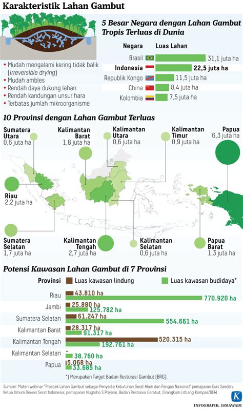 Menjaga Lahan Gambut Rawa Tripa Yang Tersisa Kompasid