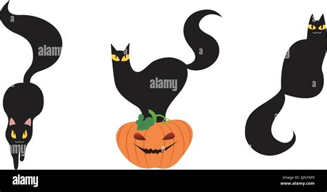 Set Of Three Halloween Black Cats Vector Spooky Witch Cat With Evil