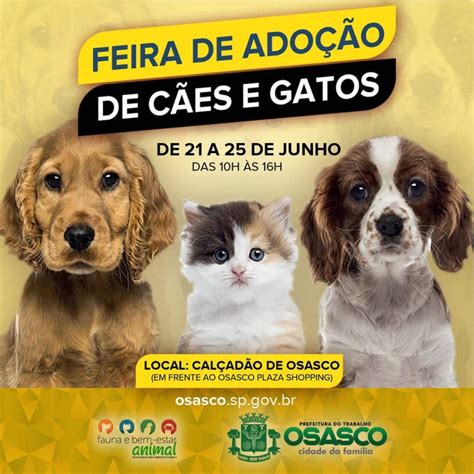 Feira de adoção de cães e gatos em Osasco vai até sexta feira 25