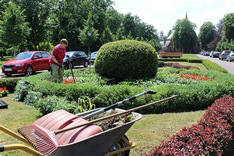 Ottostadt Startet Mit Bunten Sommerblumen In Den Fr Hsommer