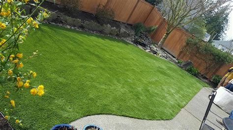 Synthetic Lawn Installation Seattle, Bellevue, WA, Dream Turf