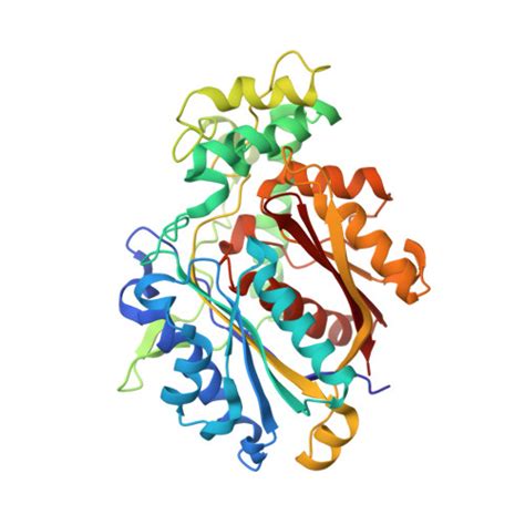 RCSB PDB 7O1M Structure Of Mycobacterium Tuberculosis Beta Oxidation