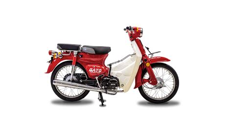 Gato Supercub Punto Moto Fiao