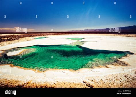 Descubre La Belleza Oculta D Nde Est N Las Lagunas De Ruidera Una