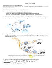 Week B Dna Replication Reading Guide Pdf Name Natasha Rettivalam