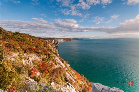 Fotografie Del Sentiero Rilke E Duino Trieste In Cartolina