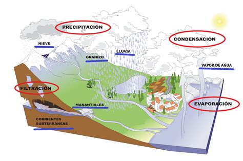 1 Ciclo Del Agua CT Tema 5 2 El Agua Base De Nuestra Existencia