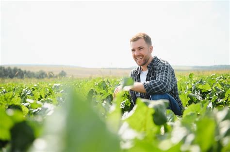 Agricultor Verificando A Qualidade Da Colheita Em Um Campo De Foco