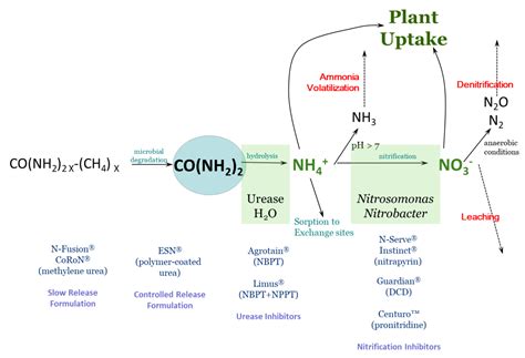 Nitrogen Inhibitors For Improved Fertilizer Use Efficiency Cropwatch University Of Nebraska