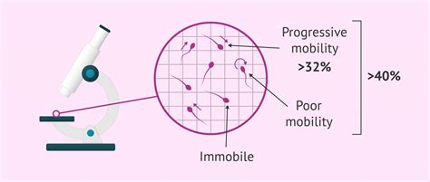 Normal sperm motility values