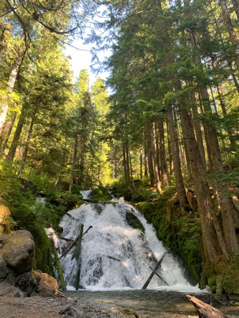 10+ of the Best Hikes in Portland, Oregon: Amazing Outdoor Trails and ...