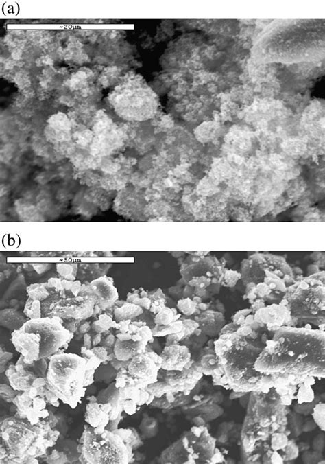 SEM Micrographs Of A TiO 2 Degussa P 25 And B 60 TiO 2 SiO 2