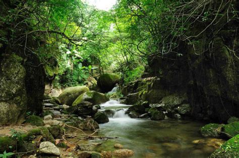 广西北流市特产 广西北流市 广西玉林北流市 第6页 大山谷图库