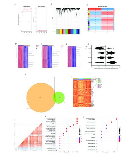 Subtype Characteristics And Key Genes A Soft Threshold Of Wgcna B