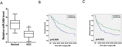 Low Expression Of Mir 369 Predicts The Poor Prognosis Of Hcc Patients