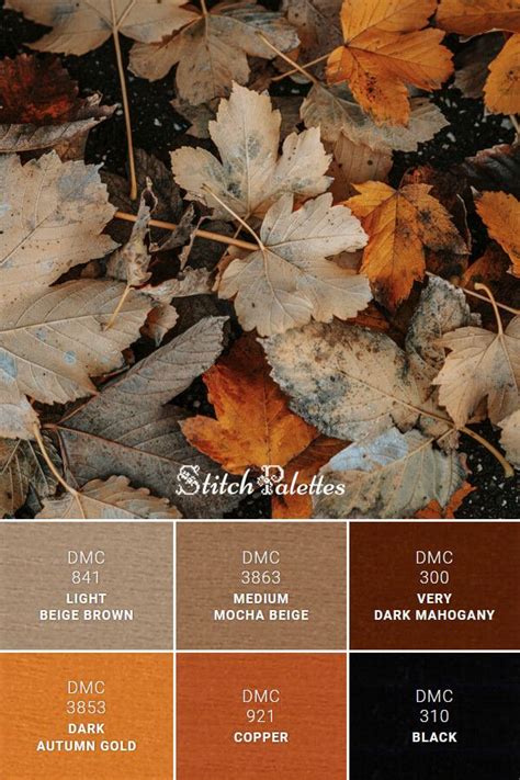 Shades of Autumn | Orange color palettes, Brown color palette, Fall ...