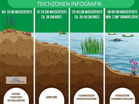 Tiefwasserzone Im Gartenteich Anlage Pflege Und Pflanzen