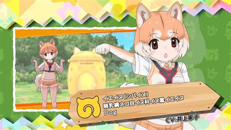 『けものフレンズ3』フレンズ紹介pvイエイヌ（シバイヌ） Youtube