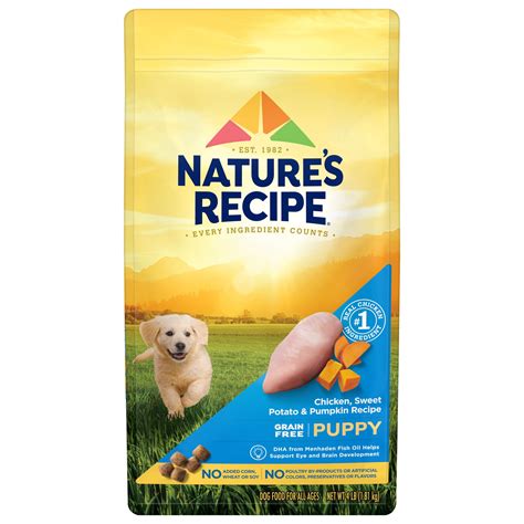 Nature′s Recipe Dry Puppy Food, Grain Free Puppy Chicken, Sweet Potato & Pumpkin Recipe, 4 lb ...