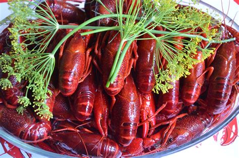 80 Free Crawfish And Crayfish Images Pixabay