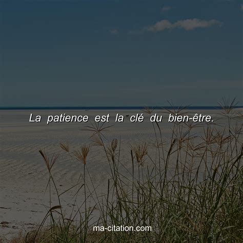 La Patience Est La ClÃ© Du Bien Ãªtre Ma