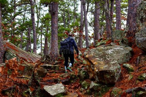 Adventure Is Out There Editorial Stock Image Image Of Nature 99988039