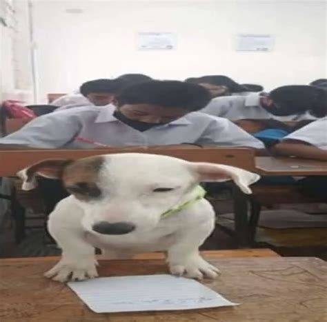 Arthurium Get The Fuck Out Of My Room Im Playing Minecraft Reviews Album Of The Year