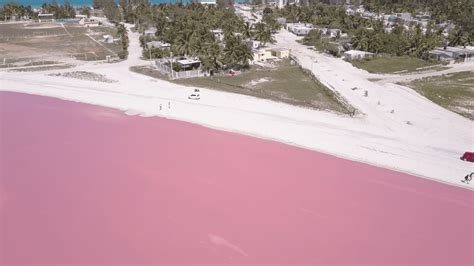 Las Coloradas Pink Lake | Mexico Lakes