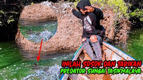 Tidak Di Sangka Sangka Dua Predator Sungai Bisa Kami Taklukan YouTube