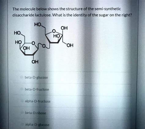 Solved The Molecule Below Shows The Structure Of The Semi Synthetic