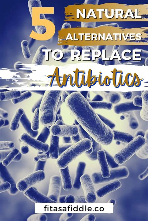 5 Natural Alternatives To Replace Antibiotics Right Now • Fit As A Fiddle