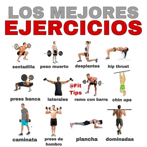 Cu Les Son Los Ejercicios Que Puedo Hacer Para Aumentar Masa Muscular