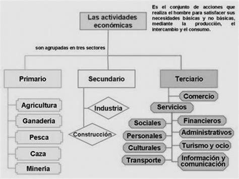 Menciona Mediante Un Organizador Gr Fico Los Sectores De La Econom A