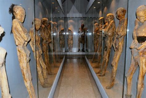 Las Momias Museo De Las Momias Mummy Museum In Guanajuat Flickr