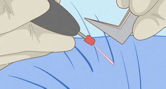 How To Shave Pubic Hair Near Your Vagina Before Sex