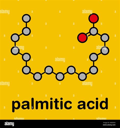 Ácido palmítico hexadecanoic molécula de ácido graso saturado